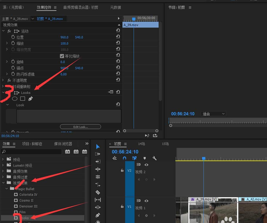 premiere���ʹ��looks���