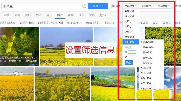 edge����������ͼ����ȡ��������