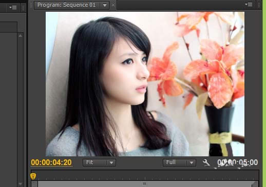 premiere��ô����Ƶ����͸����