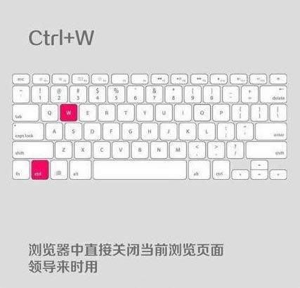 ���Գ�ʵ�õ�5����Ͽ�ݼ�