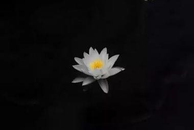 snapseed��ô�� snapseedʹ�ý̳�