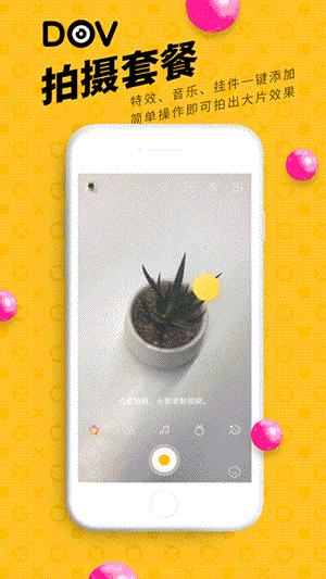 DOV��ʲô DOV��ô��