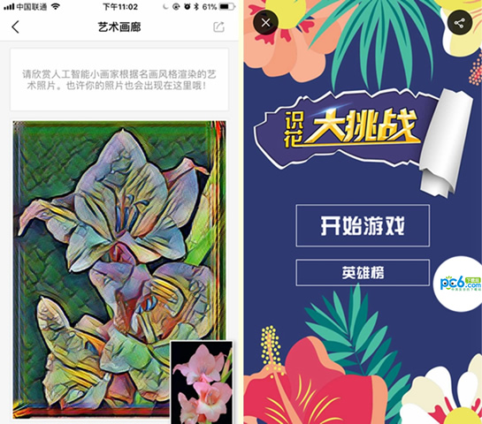 拍照查花软件叫什么 三款识花神器App评测 拍照查花软件叫什么 三款识花神器App评测