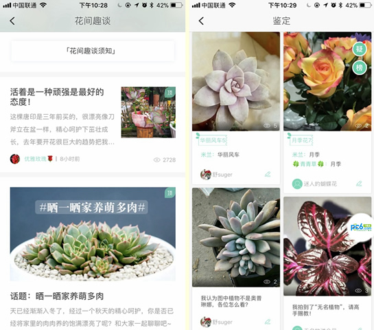 拍照查花软件叫什么 三款识花神器App评测 拍照查花软件叫什么 三款识花神器App评测