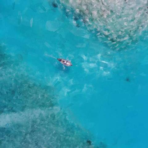 PaintCan��ô�� Adobe PaintCanʹ�ý̳�