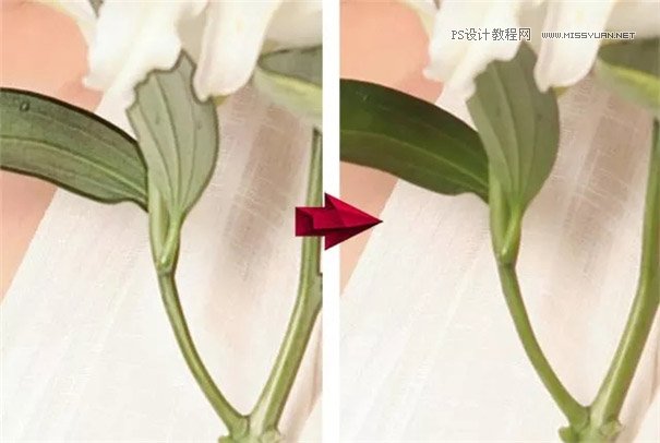 Photoshop����������Ƭ���ʻ�Ч��