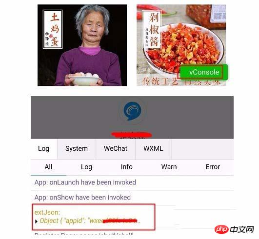 ��ô��ѯ΢�Ź��ں�С�����APPID
