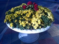 �����ʸ� ŵ����ֱ��TD�»�C5-01����