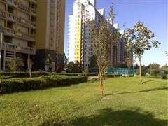 �����ʸ� ŵ����ֱ��TD�»�C5-01����