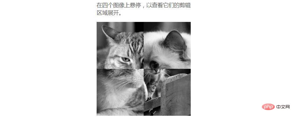 1543394128613019.jpg 1543394128613019.jpg