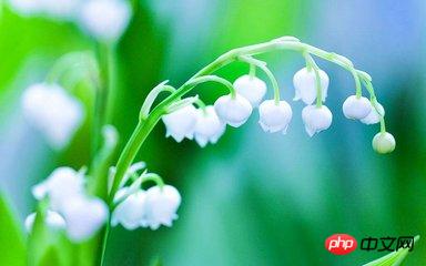 1541664246519047.jpg keiskei.jpg