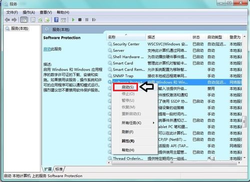 Win7ϵͳSoftware protection�����Ҳ������޷������������