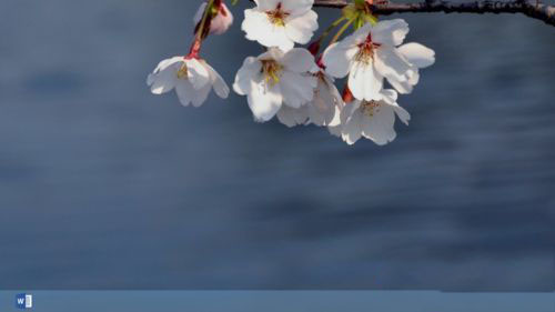 Win8ϵͳ��΢����ֹ��װBingƴ�����뷨��ô��